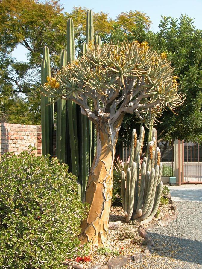 Pane Vivente Garden Cottage Beaufort West Exterior photo